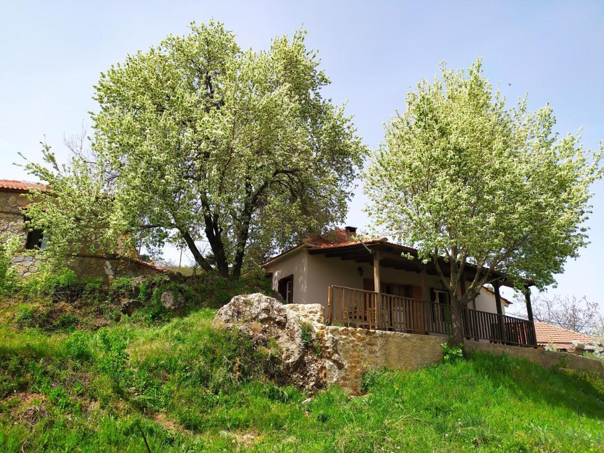 Μικρή Ζήρεια Ενοικιαζόμενη Κατοικία Synikia Mesi Trikalon Exterior photo