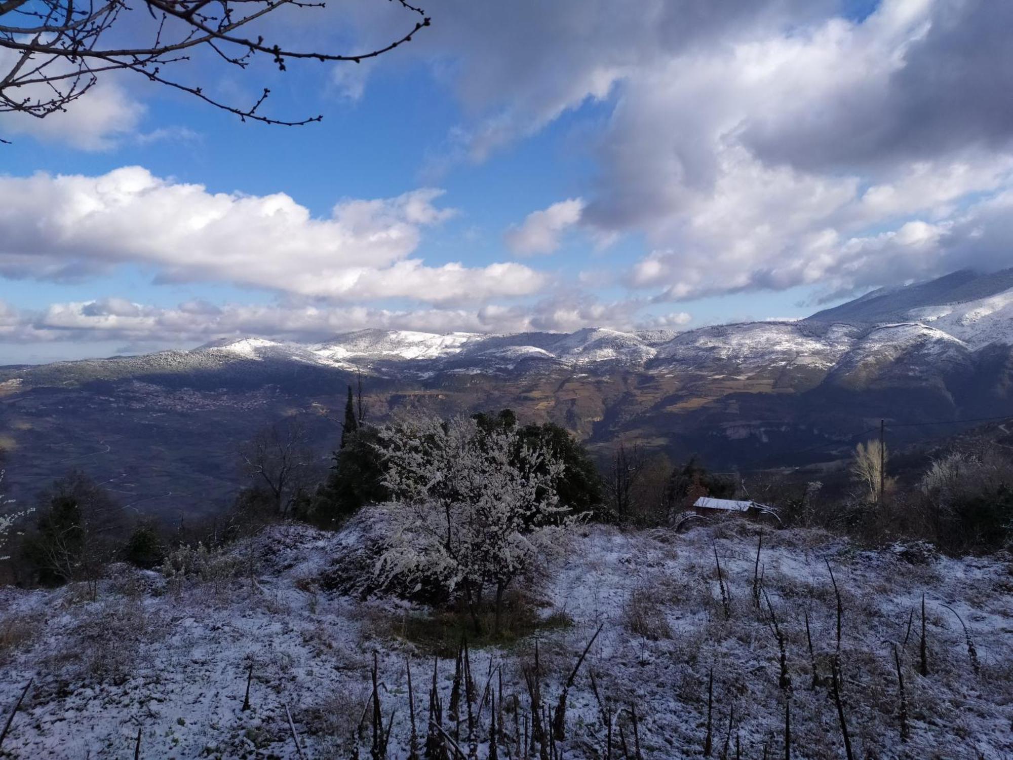 Μικρή Ζήρεια Ενοικιαζόμενη Κατοικία Synikia Mesi Trikalon Exterior photo