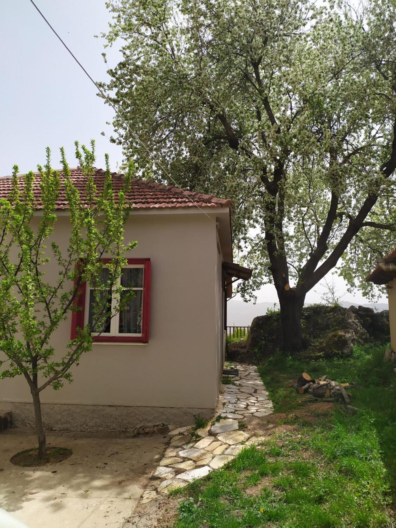 Μικρή Ζήρεια Ενοικιαζόμενη Κατοικία Synikia Mesi Trikalon Exterior photo